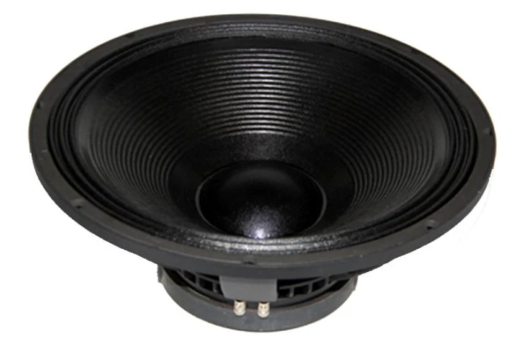 18 inci 1000W PA Speaker