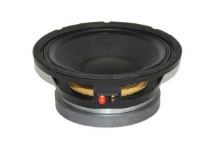 10 Inch 350W RMS Pro Audio Pembesar suara Subwoofer Speaker