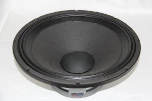 Pembesar suara Pembesar suara Pembuatan RM1000W RMS Pro Speaker 18inch Subwoofer