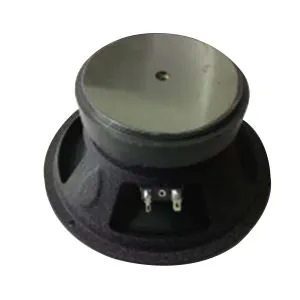 Pembesar Suara 8 inci Dengan Peluru  25 mm